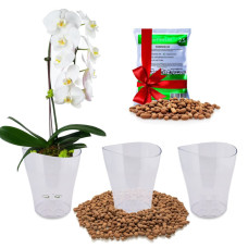 Garten Lux Pflanzgefäße Set (3 Töpfe Ø 16 cm, H 19 cm Transparent + Blähton 2.5 Liter)