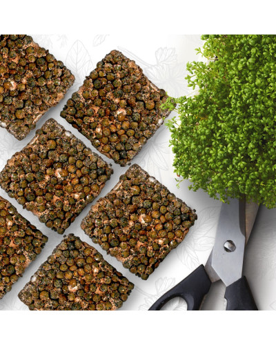 OraGarden Starter Microgreens-Saatpads-Mix 48 Stück