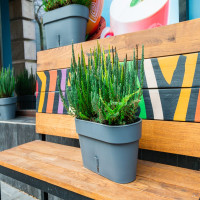 Santino Latina Window Box Pflanztöpfe L 39.5 cm, H 17 cm Jade