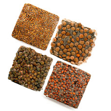 OraGarden Scharfer & Würziger Microgreens-Saatpads-Mix 24 Stück mit Bio-Saatgut