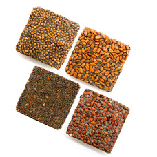 OraGarden Scharfer & Würziger Microgreens-Saatpads-Mix 24 Stück mit Bio-Saatgut