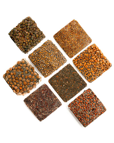 OraGarden Starter Microgreens-Saatpads-Mix 48 Stück