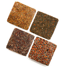 OraGarden Scharfer & Würziger Microgreens-Saatpads-Mix 24 Stück mit Bio-Saatgut