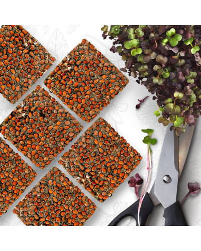 OraGarden Starter Microgreens-Saatpads-Mix 48 Stück