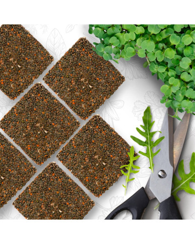 OraGarden Starter Microgreens-Saatpads-Mix 48 Stück