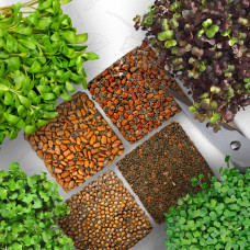 OraGarden Starter Microgreens-Saatpads-Mix 48 Stück