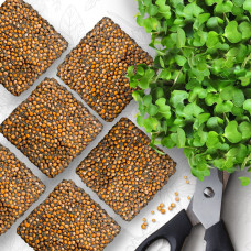 OraGarden Starter Microgreens-Saatpads-Mix 48 Stück