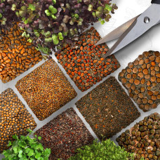 OraGarden Starter Microgreens-Saatpads-Mix 48 Stück