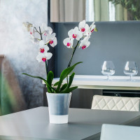 Santino Arte-Dea Pflanztöpfe Drainage Set (6 Töpfe Ø 14.7 cm, H 17 cm Transparent + Blähton 2.5 Liter)