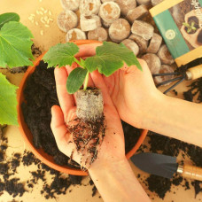 LovePlants 30 x Kokos Quelltabletten - 100% torffrei