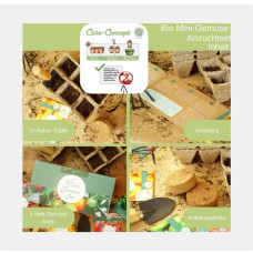 LovePlants Bio Anzuchtset Gemüse