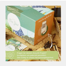 LovePlants Bio Anzuchtset Geschenk