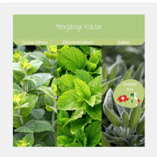 LovePlants Bio Anzuchtset Geschenk