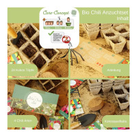 LovePlants Bio Chili Anzuchtset