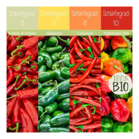 LovePlants Bio Chili Anzuchtset