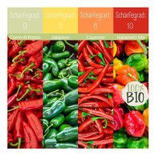 LovePlants Bio Chili Anzuchtset