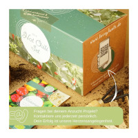 LovePlants Bio Chili Anzuchtset