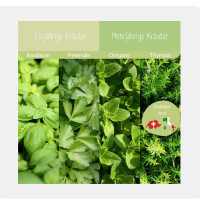 LovePlants Bio Kräuter Anzuchtset
