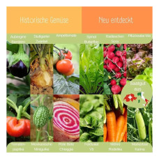 LovePlants Dein 12 Bio Balkon & Hochbeet Gemüsesamen Set