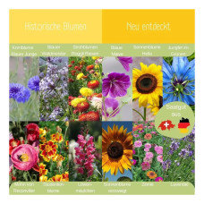 LovePlants Dein 12 Bio Bienen Blumensamen Set