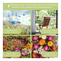 LovePlants Dein 14 Bio Blumensamen Set
