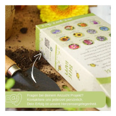 LovePlants Dein 12 Bio Bienen Blumensamen Set