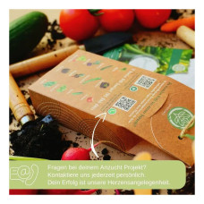 LovePlants Dein 12 Bio Gemüsesamen Set