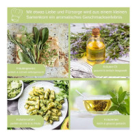 LovePlants Dein 12 Bio Kräutersamen Set