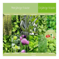 LovePlants Dein 12 Bio Kräutersamen Set