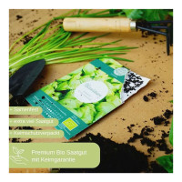 LovePlants Dein 12 Bio Kräutersamen Set