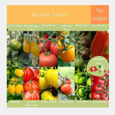 LovePlants Dein 12 Bio Tomatensamen Set