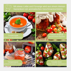 LovePlants Dein 12 Bio Tomatensamen Set