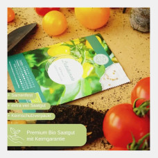LovePlants Dein 12 Bio Tomatensamen Set