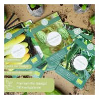 LovePlants Dein 8 Gurkensamen Set