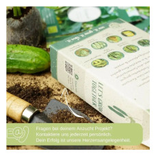 LovePlants Dein 8 Gurkensamen Set