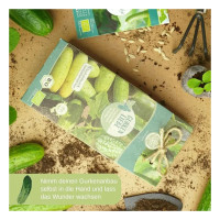 LovePlants Dein 8 Gurkensamen Set