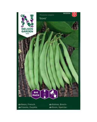 Nelson Garden Bohne, Brech-, Saxa, Big Pack