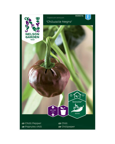 Nelson Garden Chili, Chiluacle Negro