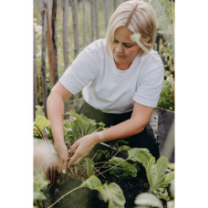 Nelson Garden Rote Bete, Hullahoop mix