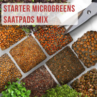 OraGarden Salat Microgreens-Saatpads-Mix 24 Stück mit Bio-Saatgut