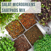 OraGarden Salat Microgreens-Saatpads-Mix 24 Stück mit Bio-Saatgut