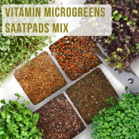 OraGarden Salat Microgreens-Saatpads-Mix 24 Stück mit Bio-Saatgut