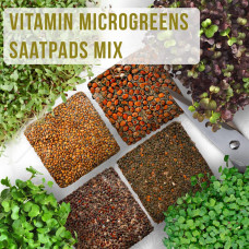 OraGarden Salat Microgreens-Saatpads-Mix 24 Stück mit Bio-Saatgut