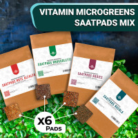 OraGarden Vitamin Microgreens-Saatpads-Mix 24 Stück
