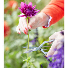 Burgon & Ball Präzisionsschere von Sophie Conran