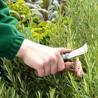 Burgon & Ball Gartenmesser für die Tasche