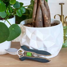 Burgon & Ball Schere für Zimmerpflanzen