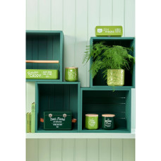 Burgon & Ball Sparbüchse für Gärtner Stachelbeere