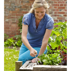 Burgon & Ball Deluxe Garten Werkzeug Set