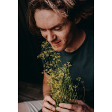 Nelson Garden Dill, Blatt-, Teddy